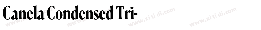Canela Condensed Tri字体转换